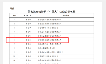 恭喜！！！！天空智能荣获专精特新“小巨人”荣誉